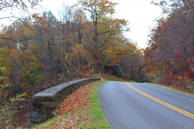Fall Foliage along the Blue Ridge Parkway